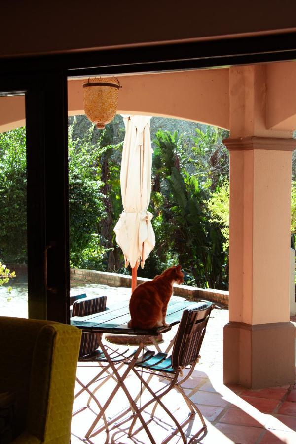 Southern Light Country House Cape Town Luaran gambar