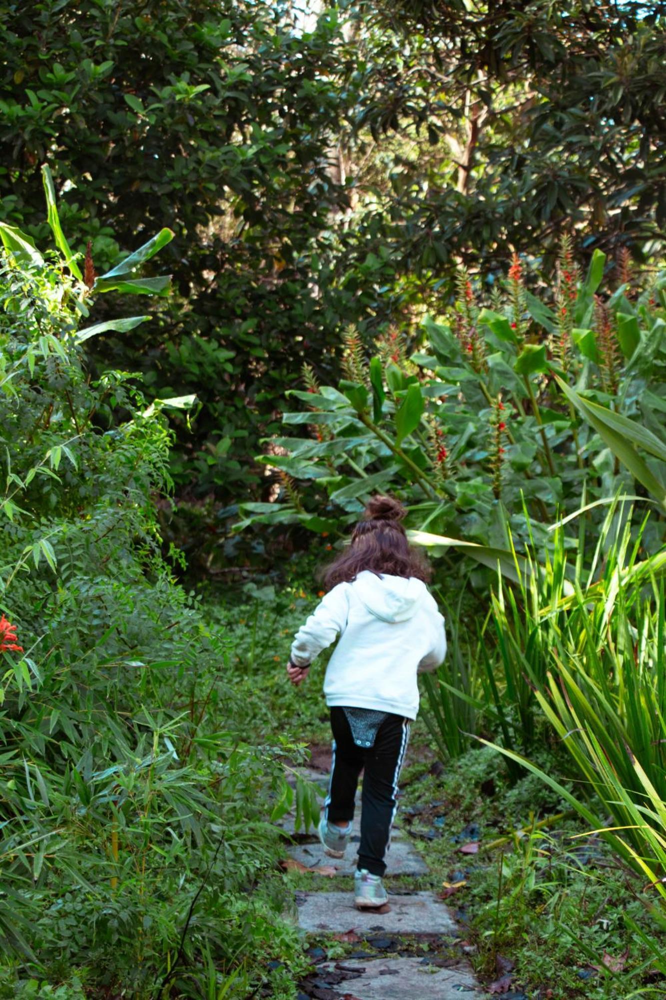 Southern Light Country House Cape Town Luaran gambar