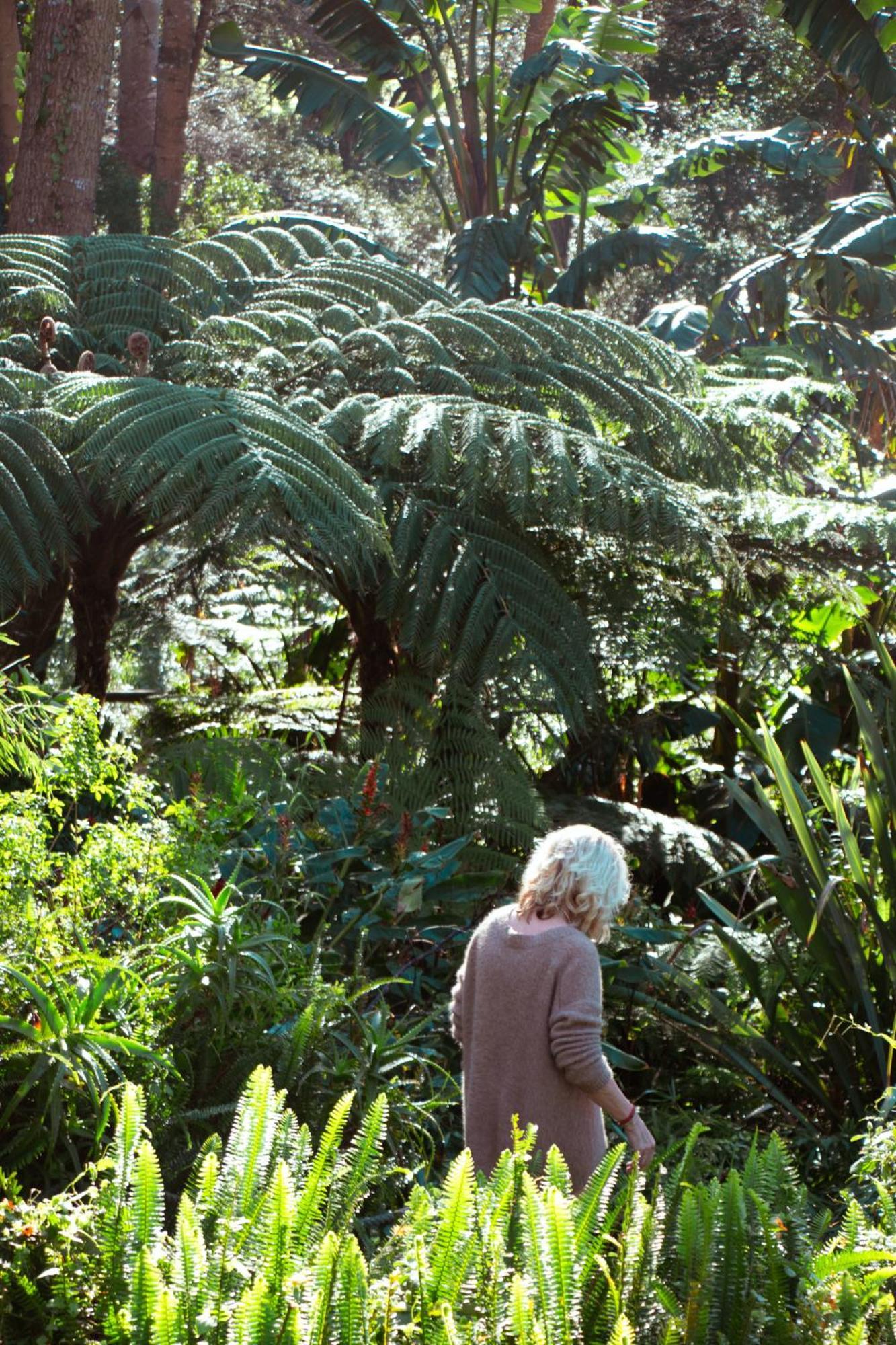 Southern Light Country House Cape Town Luaran gambar