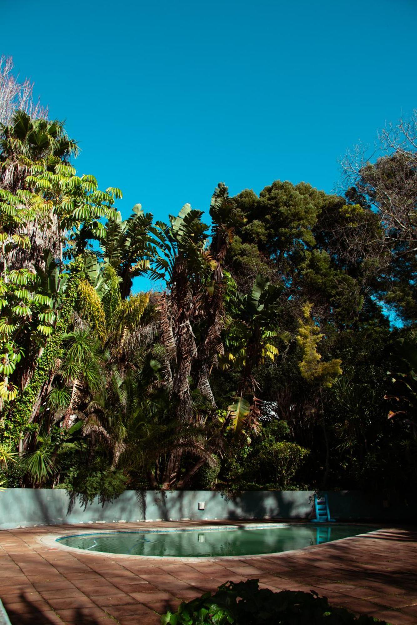 Southern Light Country House Cape Town Luaran gambar
