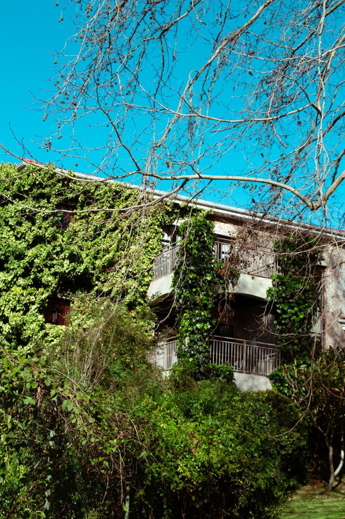 Southern Light Country House Cape Town Luaran gambar